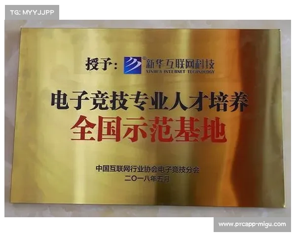 中国电竞教育课程体系研讨启动 校企联合探索人才标准化培养路径